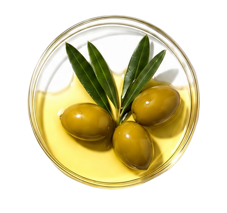 Olive Oil