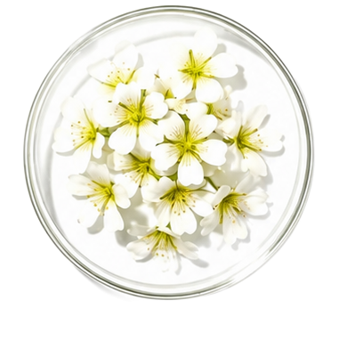 Sea Buckthorn Oil